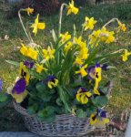 ein Bild aus dem Album