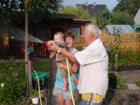 das zu meldende Bild