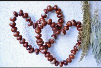 das zu löschende Bild