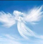 das zu drehende Bild